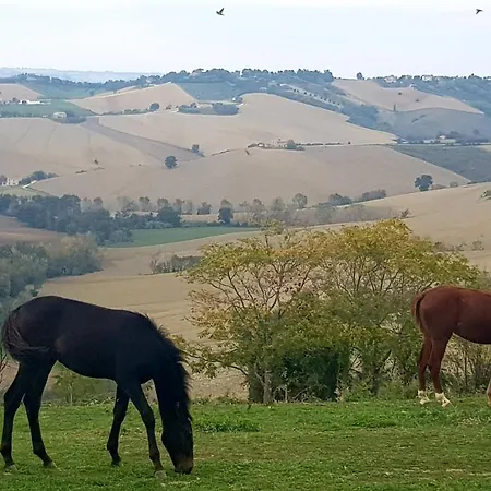 Фермерский дом La Collina Dei Cavalieri *