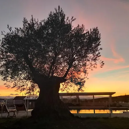 La Collina Dei Cavalieri Belvedere Ostrense