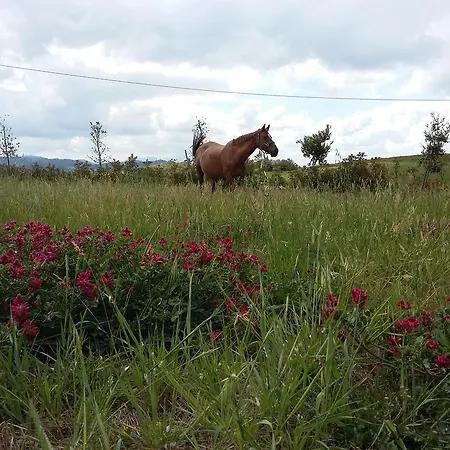 Фермерский дом La Collina Dei Cavalieri *